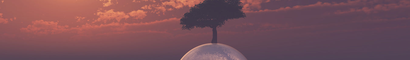 Bluetooth & App Controlled Sex Toys