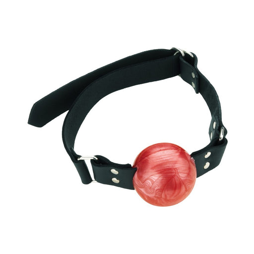 Ball Gag Red Rubber Ball | cutebutkinky.com