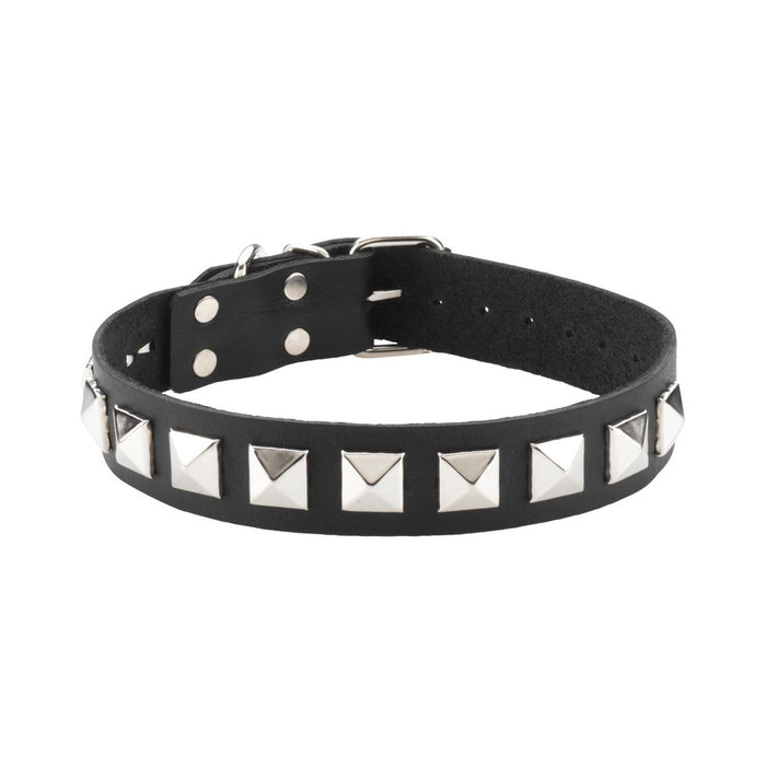 Leather Collar 1 Inch With Assorted Studs | cutebutkinky.com
