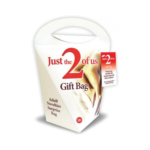 Just The 2 Of Us Gift Bag | cutebutkinky.com