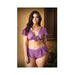 Curve Kate Lace Tie Front Crop Top With Matching Tap Panty 3x/4x Amethyst | cutebutkinky.com