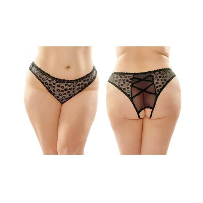 Daisy Crotchless Lace And Mesh Panty With Criss-cross Panel Back 6-pack Q/s Black | cutebutkinky.com