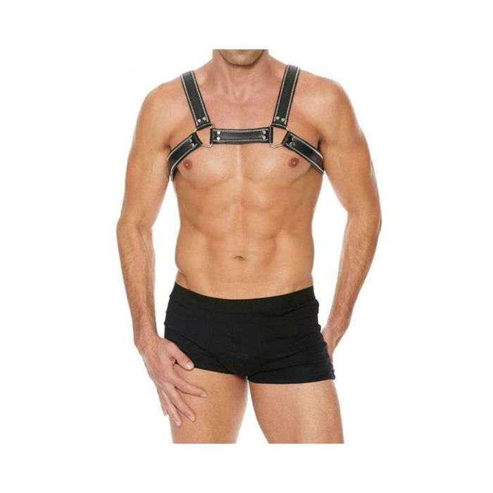 Premium Leather D-ring Zipper Bulldog Harness S/m Black | cutebutkinky.com
