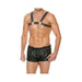 Premium Leather O-ring Zipper Series Bulldog Harness S/m Black | cutebutkinky.com