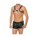 Premium Leather O-ring Zipper Series Bulldog Harness L/xl Black | cutebutkinky.com