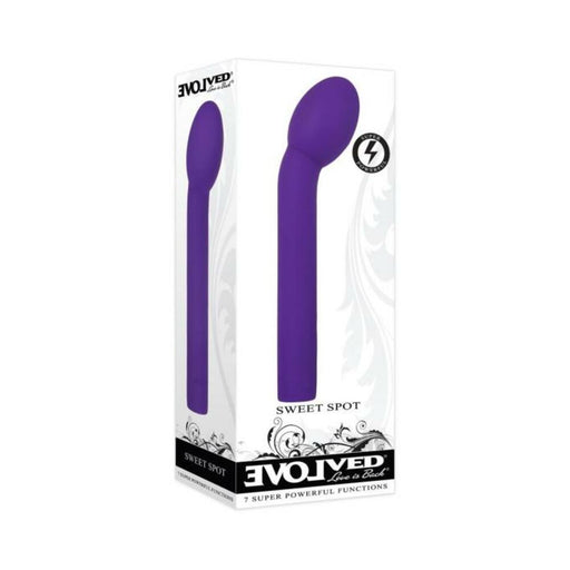 Evolved Sweet Spot Rechargeable Silicone Purple | cutebutkinky.com