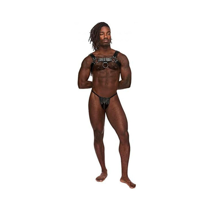 Mp Leather Aries Black Os | cutebutkinky.com