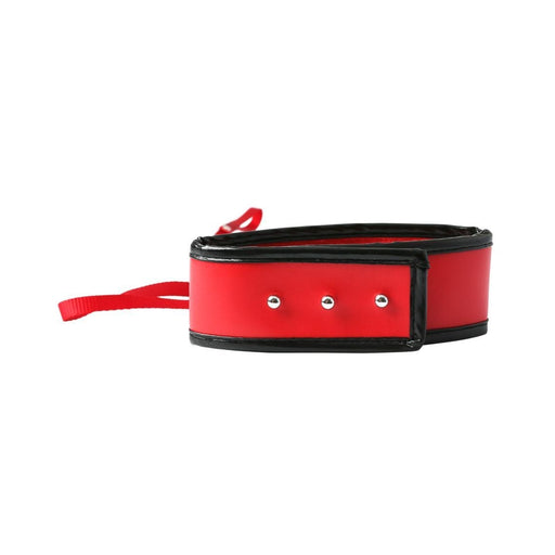 Sex & Mischief Red Leash and Collar | cutebutkinky.com