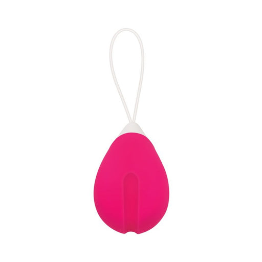 Evolved Rechargeable Egg R/c Silicone Pink | cutebutkinky.com