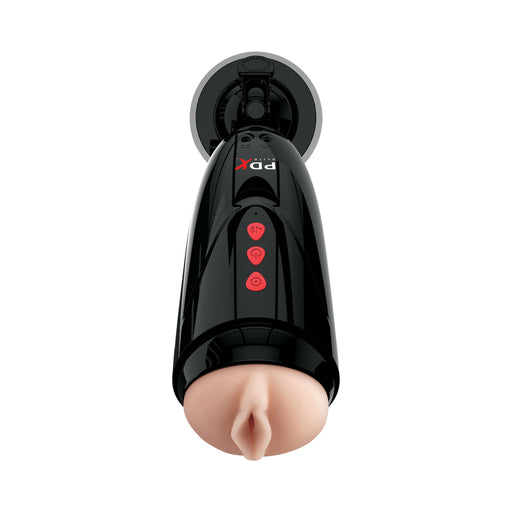 Pdx Elite Dirty Talk Starter Stroker | cutebutkinky.com