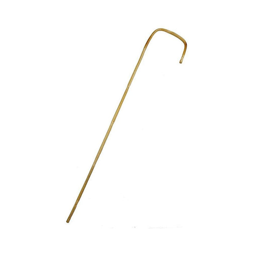 Rouge Bamboo Cane | cutebutkinky.com