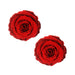 Neva Nude Pasties Enchanted Red Rose Glitter Velvet | cutebutkinky.com
