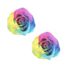 Neva Nude Pasties Rainbow Pride Rose Glitter Velvet | cutebutkinky.com