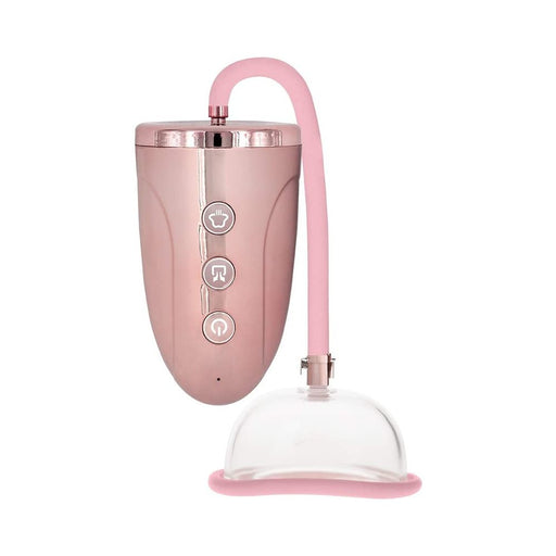 Rechargeable Pussy Pump - Pink | cutebutkinky.com