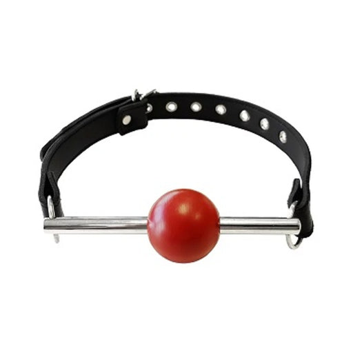 Ball Gag - Black With Removable Red Ball And Stainless Steel Rod | cutebutkinky.com
