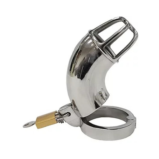 Stainless Cock Cage With Padlock  In Clamshell | cutebutkinky.com