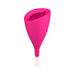 Intimina Lily Cup Size B - Pink | cutebutkinky.com
