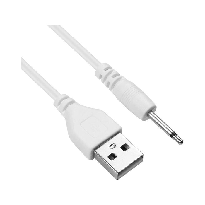 Lovense Charging Cable For Lush/lush 2/hush/edge/osci | cutebutkinky.com