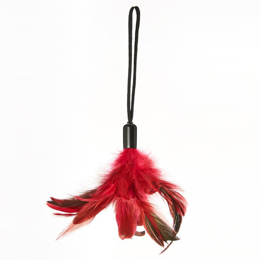 Pleasure Feather Tickler | cutebutkinky.com