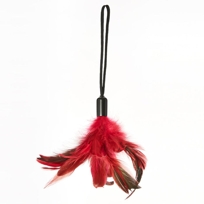 Pleasure Feather Tickler | cutebutkinky.com